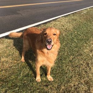 Meet your Posher, Sabrina